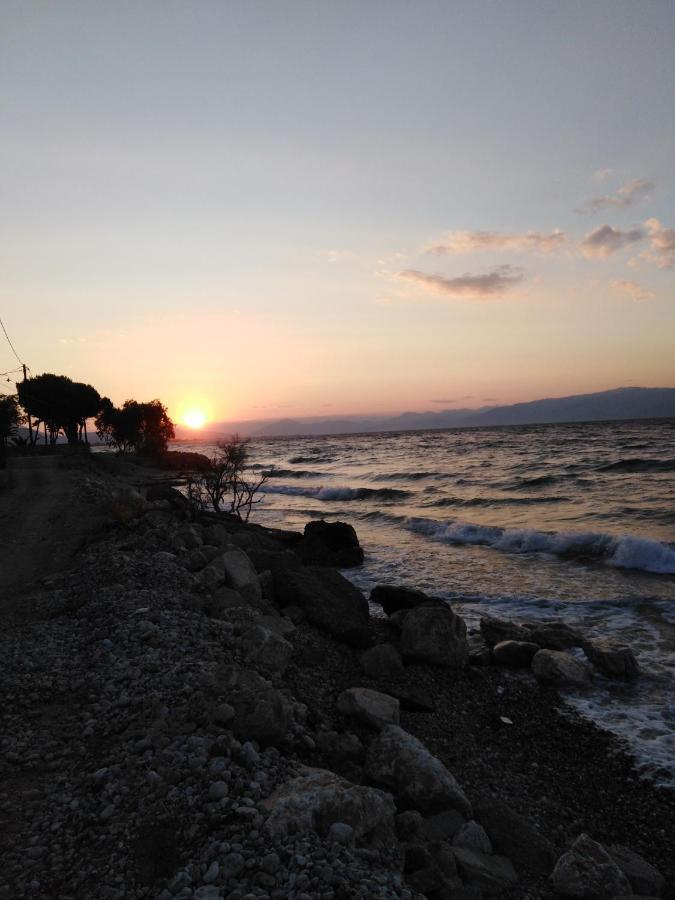 Trápeza Σπίτι Με Σοφίτα Μπροστά Στη Θάλασσαヴィラ エクステリア 写真